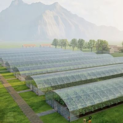 Volledig betaalde commerciële kas voor tomaten en aardbeien in de waterleiding