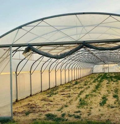 Zonnestroom kas voor het planten van capsicum geavanceerde groenten te kweken methode