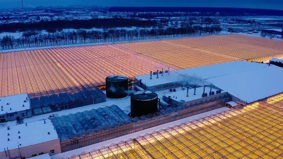 Boogdak Champignonverbouwing Zonnelicht Kaspakket Bruto gewicht 1000.000kg