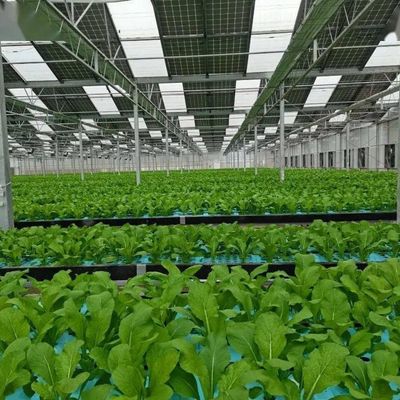Multi-Span Arch Type PE/Po Plastic Film Photovoltaic Solar Greenhouse voor prestaties