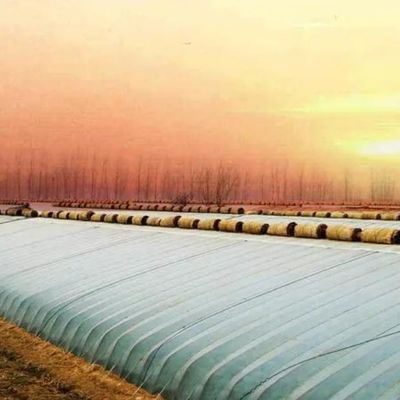Pakket Bruto Gewicht 2000.000kg Lichte zonne-energie kas voor de teelt van groenten