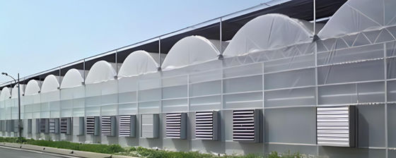 Dubbele laag Tomaten Komkommer Pepersbloemen Kas met en tijdelijke verwarming