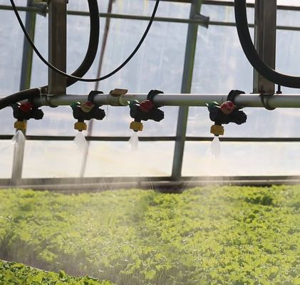 Warmluchtblazer/warmwaterverwarming Double-Arch Hydroponics kas voor bloemen en tomaten