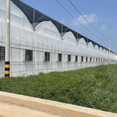 Op maat gemaakte aanvraag Landbouwproductie met meerdere spanningen Plastic Tunnel Film