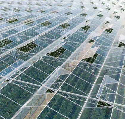Hydroponics Cultivatie methode Commerciële verwarming Tuin Glas kas voor planten