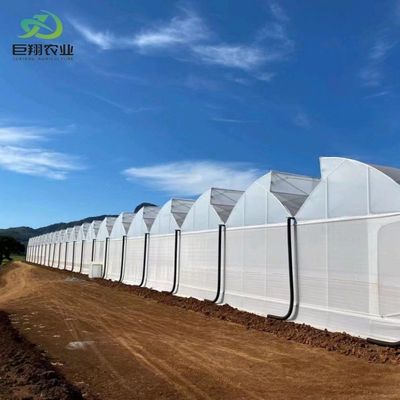 Multi-span/single-span kas voor tomaten aardbeien Plastic film/glas/polycarbonaat