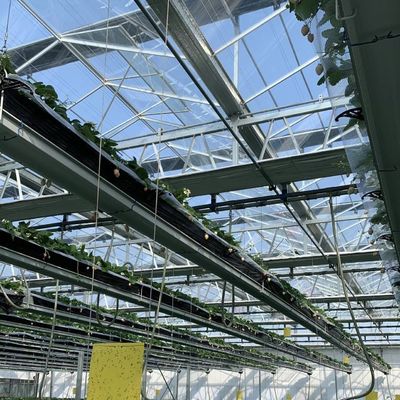 Groenhouten kassen met een hydroponisch systeem voor commerciële doeleinden