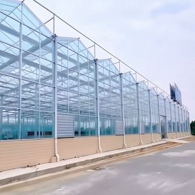 Groenhuis van Chinese oorsprong met hydroponische groenten Pakket Bruto gewicht 80.000 kg