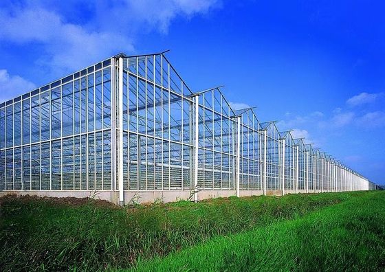 80.000kg Pakket Grossgewicht Glaskas met hydroponica en verzendkosten