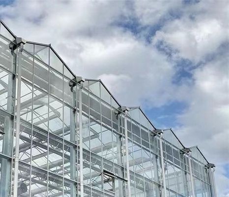 Typ Roof Hydroponics Growing System Geschikt voor de vereisten van uw klant
