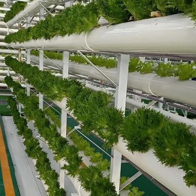 Groentehuis voor grootschalige groente- en fruitproductie zonder bodem
