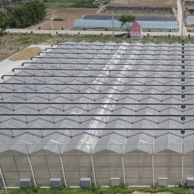 JX-A006 Grote Venlo PC polycarbonaatkasten voor commerciële en landbouwdoeleinden