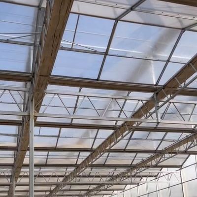JX-A006 Grote Venlo PC polycarbonaatkasten voor commerciële en landbouwdoeleinden