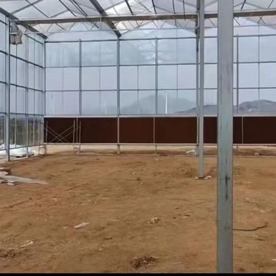 JX-A006 Grote Venlo PC polycarbonaatkasten voor commerciële en landbouwdoeleinden