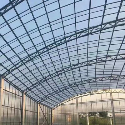 JX-A006 Grote Venlo PC polycarbonaatkasten voor commerciële en landbouwdoeleinden