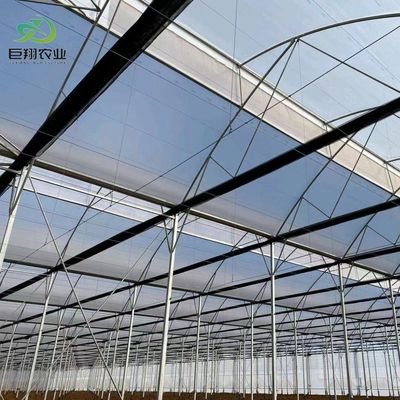 Double Arch Beam Sunlight Greenhouse met sneeuw vibrator Duurzaam en weerbestendige