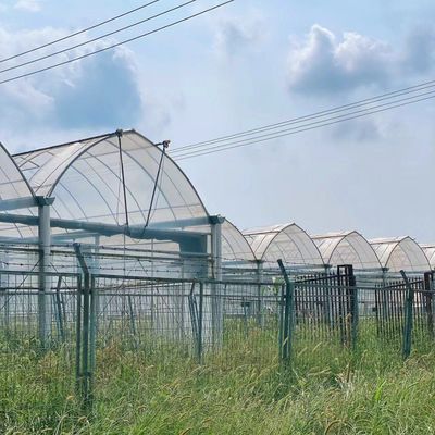Double Arch Beam Sunlight Greenhouse met sneeuw vibrator Duurzaam en weerbestendige