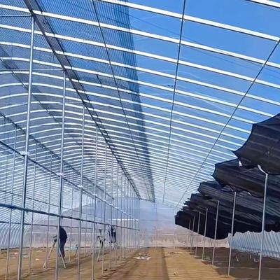 Commerciële kassen met een enkele spanning tunnelfilmkassen met 30 dagen retourgarantie