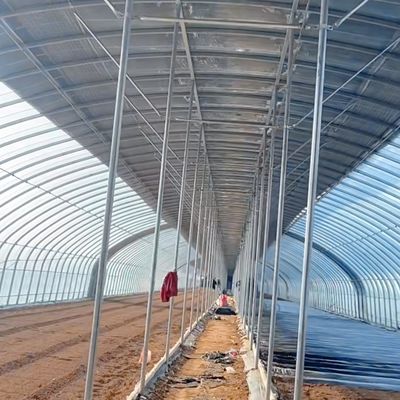 Commerciële kassen met een enkele spanning tunnelfilmkassen met 30 dagen retourgarantie