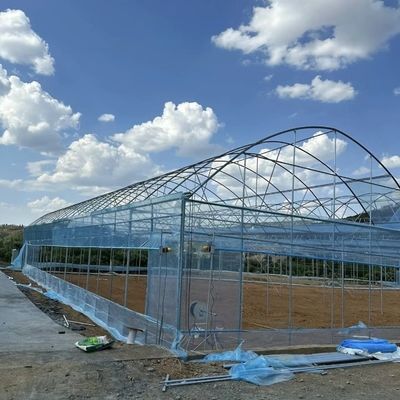 Groentehuis voor de landbouw van kunststof van het soort boog voor tomaten/komkommers en aardbeien met hydroponisch kweekstelsel