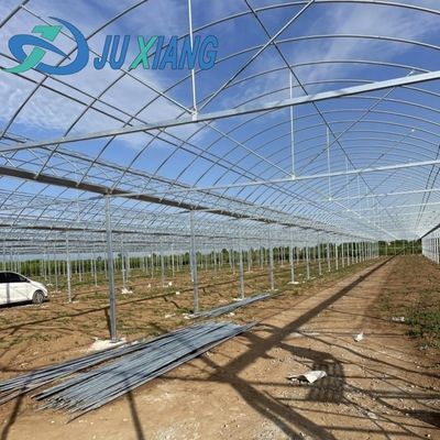 Groentehuis voor de landbouw van kunststof van het soort boog voor tomaten/komkommers en aardbeien met hydroponisch kweekstelsel
