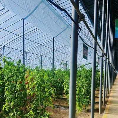 PE-film Plastic Landbouw Kasoplossing Pakket Grootte 50,00cm * 60,00cm * 50,00cm