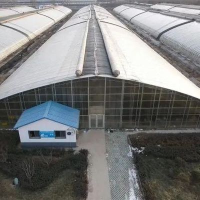 PE-film Plastic Landbouw Kasoplossing Pakket Grootte 50,00cm * 60,00cm * 50,00cm