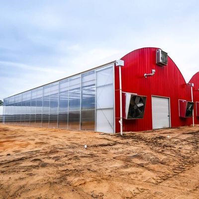 Oorsprong Eco-kastenysteem met filmmateriaal 20.000 kg Pakket bruto gewicht