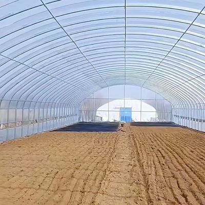 Polytunnel Plastic Tunnel Single Span Landbouwgreenhouse op aanvraag