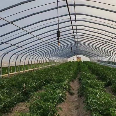 Polytunnel Plastic Tunnel Single Span Landbouwgreenhouse op aanvraag