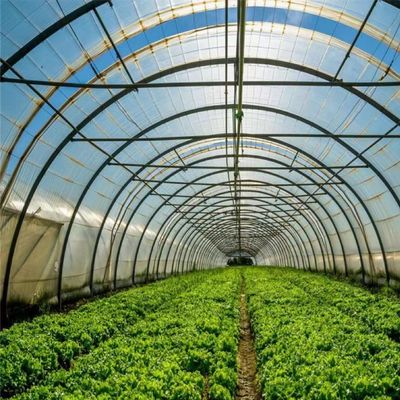 Polytunnel Plastic Tunnel Single Span Landbouwgreenhouse op aanvraag