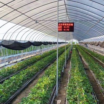 Polytunnel Plastic Tunnel Single Span Landbouwgreenhouse op aanvraag
