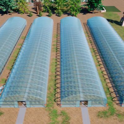 Polytunnel Plastic Tunnel Single Span Landbouwgreenhouse op aanvraag