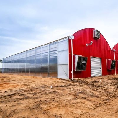 Drip Irrigation Eco Greenhouse System Over verzendkosten en geschatte levertijd