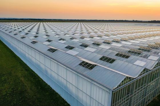 Verzendkosten Landbouw Multi-Span Plastic Tunnel Film Groentehuis Aanpassing