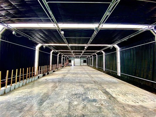 Verzendkosten Landbouw Multi-Span Plastic Tunnel Film Groentehuis Aanpassing