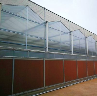 Industriële tunnelfilms Multispan kassen met hydroponische technologie en materialen
