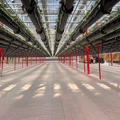 Industriële tunnelfilms Multispan kassen met hydroponische technologie en materialen