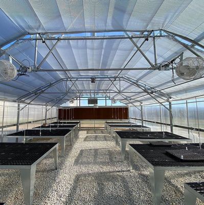 Industriële tunnelfilms Multispan kassen met hydroponische technologie en materialen