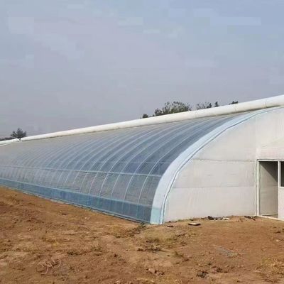 Multi Span PVC Pipe Eco Greenhouse bij betaalbaar pakket Grootte 50,00cm * 60,00cm * 50,00cm