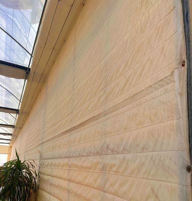 Multi Span PVC Pipe Eco Greenhouse bij betaalbaar pakket Grootte 50,00cm * 60,00cm * 50,00cm