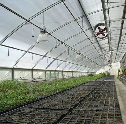 Multi Span PVC Pipe Eco Greenhouse bij betaalbaar pakket Grootte 50,00cm * 60,00cm * 50,00cm