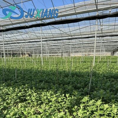 20GP 40GP 40HC Staal-plastiek bouwmaterialen Kas voor medische planten/paddenstoelen