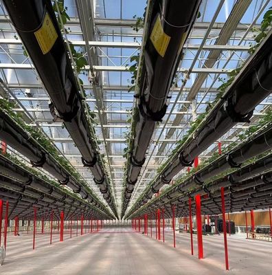 20GP 40GP 40HC Staal-plastiek bouwmaterialen Kas voor medische planten/paddenstoelen