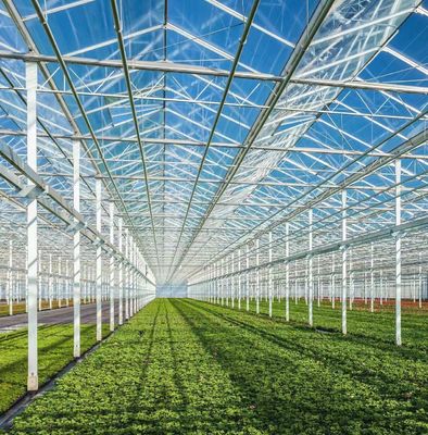 20GP 40GP 40HC Staal-plastiek bouwmaterialen Kas voor medische planten/paddenstoelen