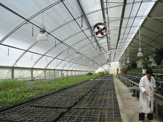 20.000kg Pakket Bruto Gewicht Multi Span Tomaten Komkommer Aardbeien Groeiing Kas