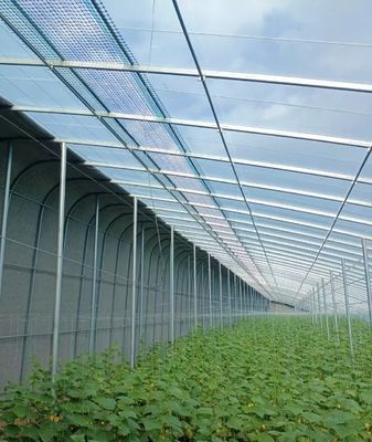 20.000kg Pakket Bruto Gewicht Multi Span Tomaten Komkommer Aardbeien Groeiing Kas