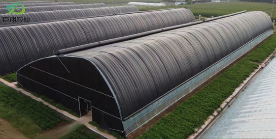 20.000kg Pakket Bruto Gewicht Multi Span Tomaten Komkommer Aardbeien Groeiing Kas
