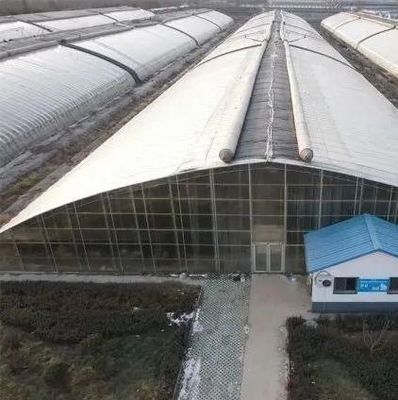 Eerste betaling Film of polycarbonaat PC bedekte dubbele boogbalk tunnel kas