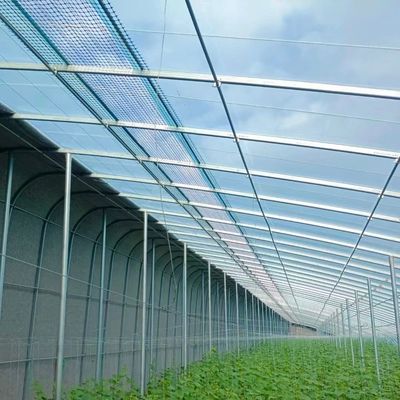 US Landbouw Multi Span Tunnel Plastic Film Greenhouses met Hydroponic System